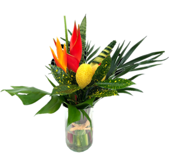 Bouquet Regular Parrot