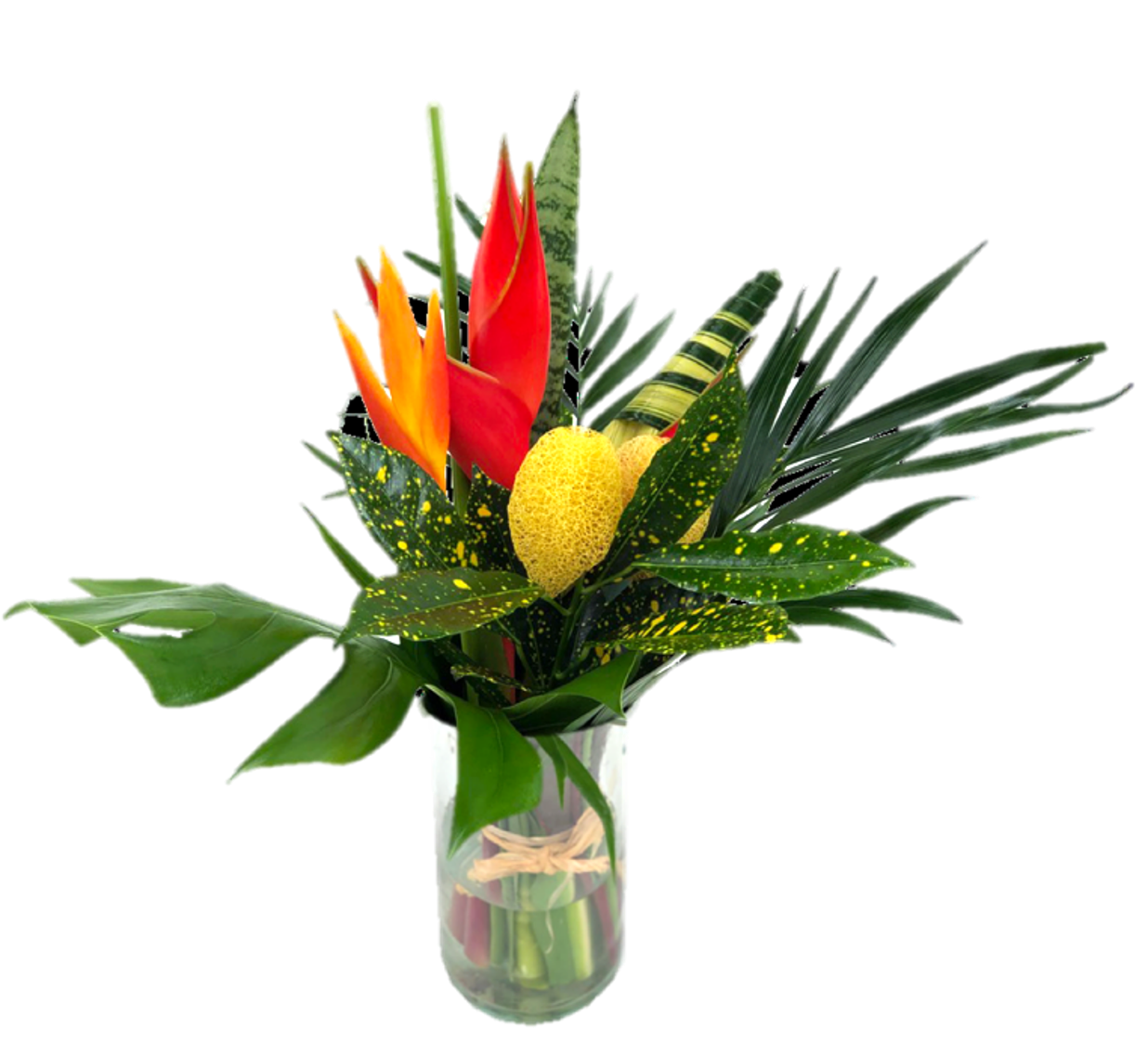 Bouquet Regular Parrot