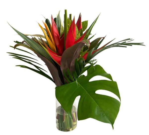 Bouquet Medium Amazon