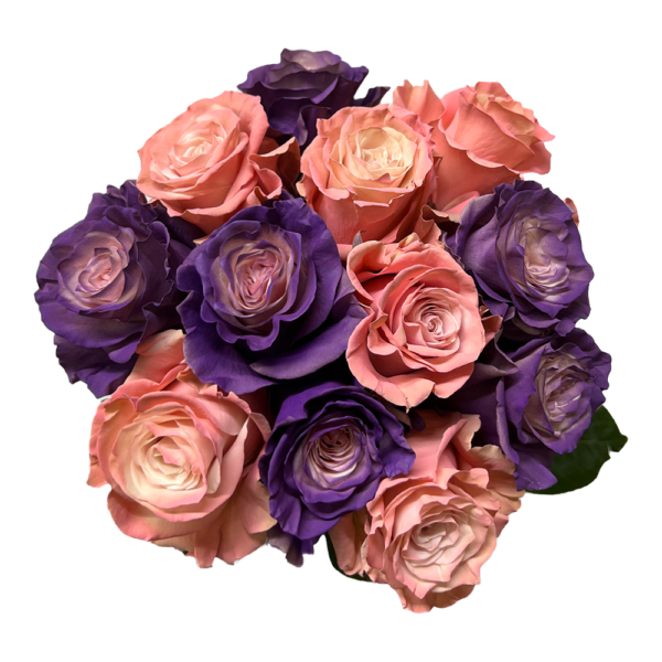 LOVE SONGS TINTED COLLECTION