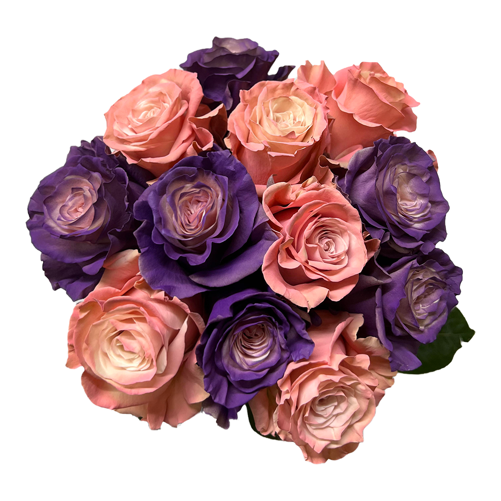 LOVE SONGS TINTED COLLECTION