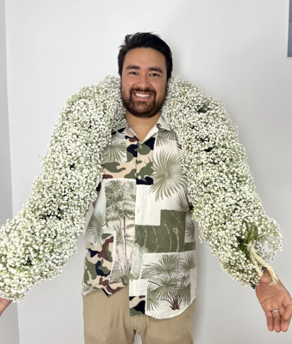 Gypsophila Garland